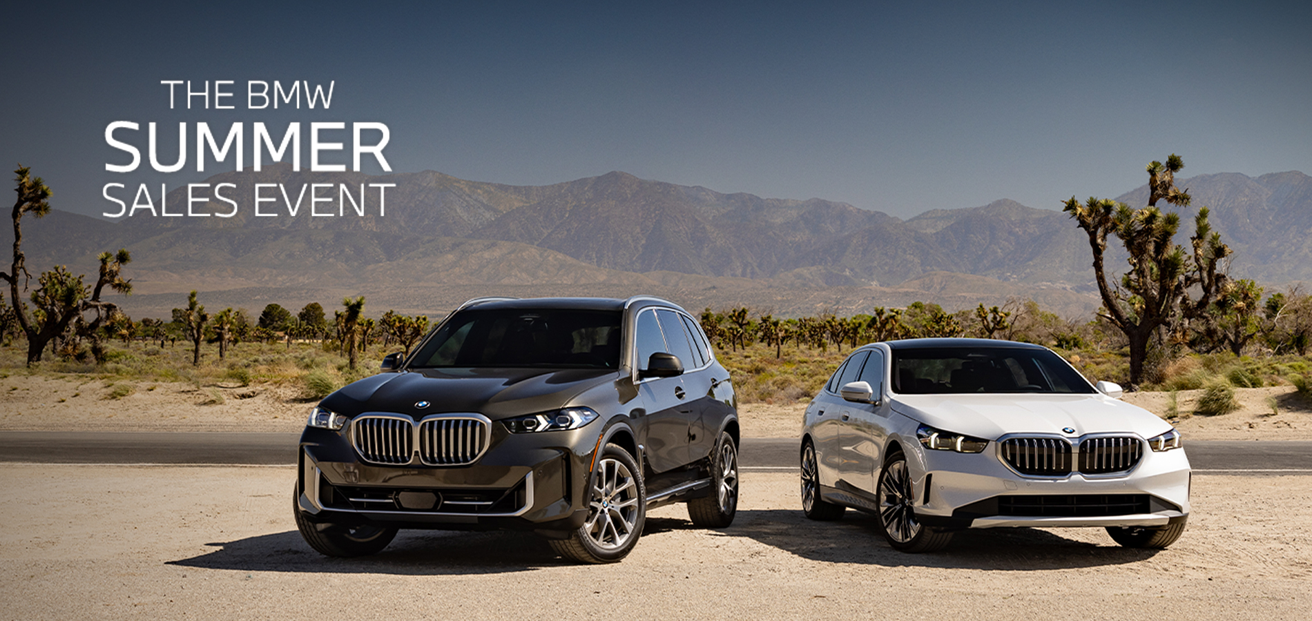 BMW X5 and 5 Series parked in desert landscape