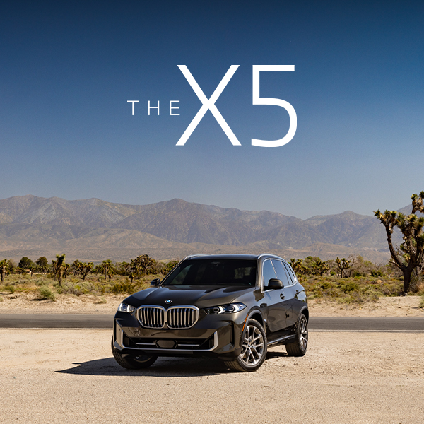 Parked BMW X5 in desert landscape