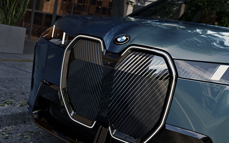 The BMW Kidney Grille.