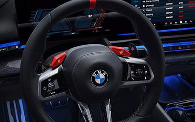 The M leather steering wheel.