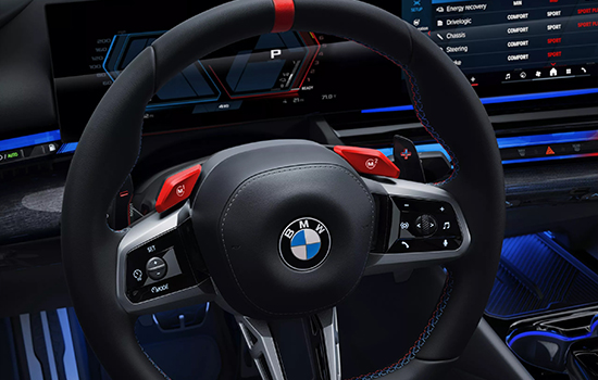 The M leather steering wheel.