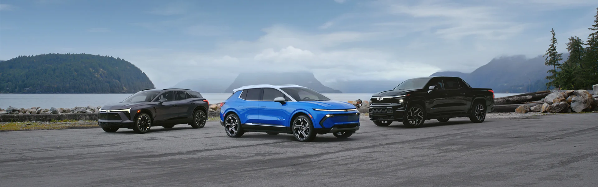 Electric Vehicles
