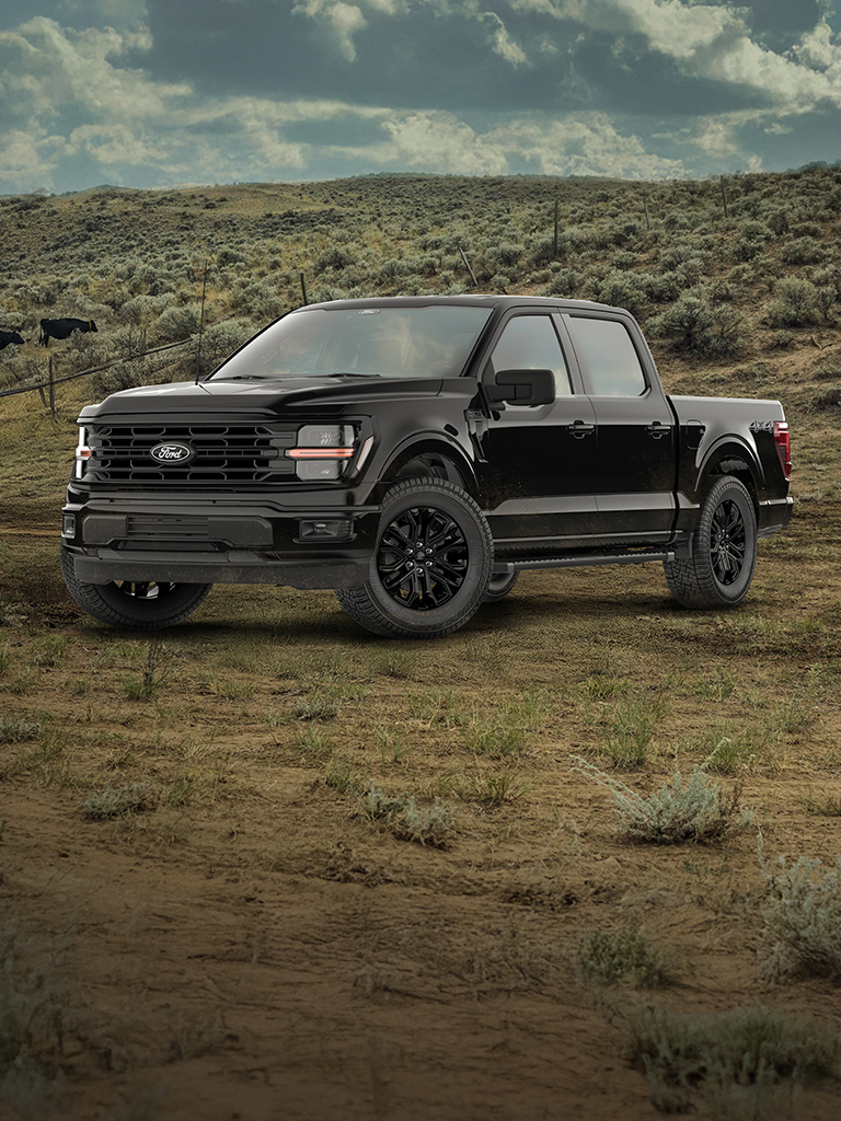 Ford F-150 Truck