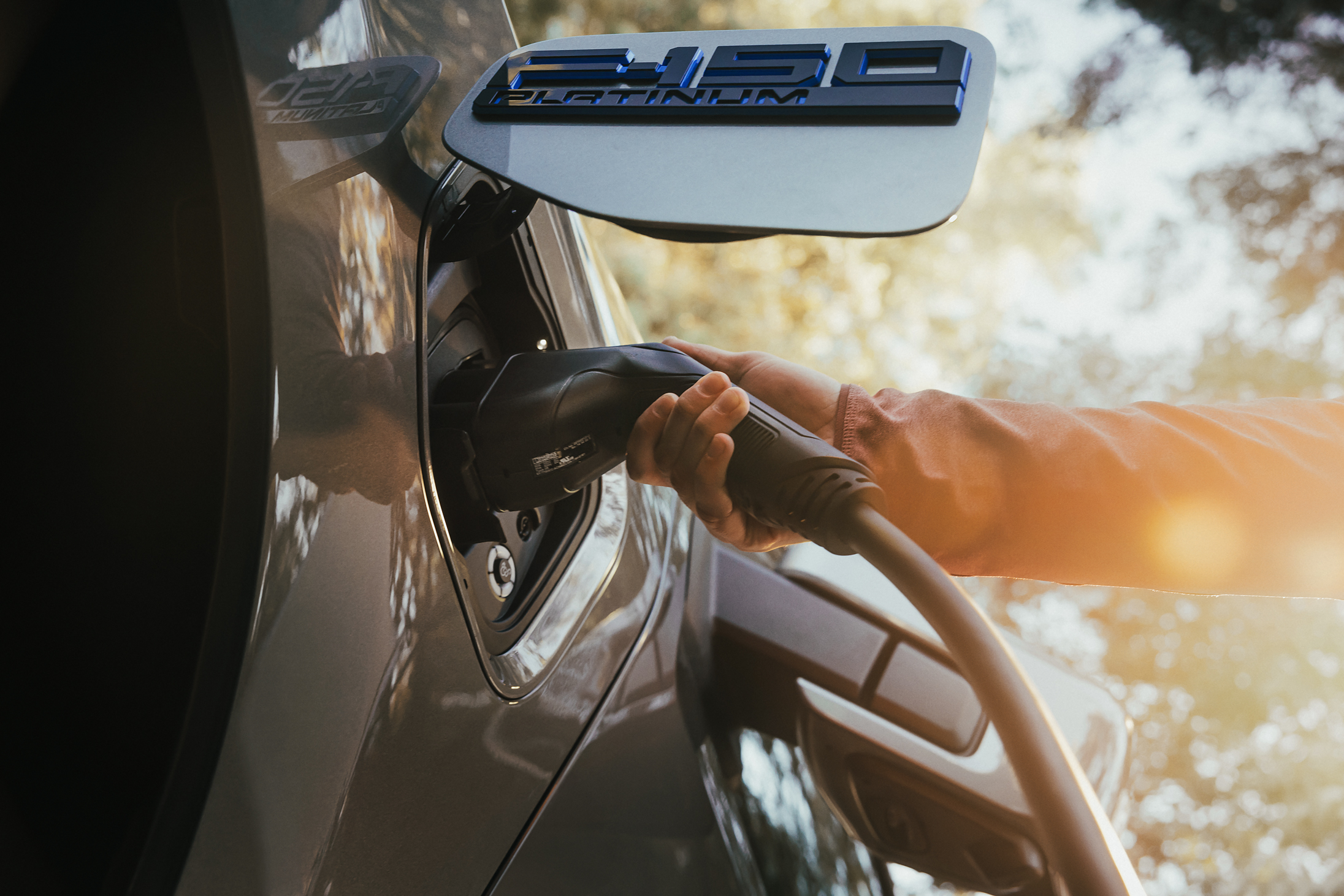 A person charging a F-150 Lightning® Platinum.