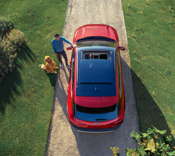 A man and dog standing next to a red Ford vehicle shown from above.