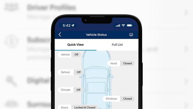 Automatic Emergency Assistance icon