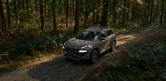 2026.5 Nissan Rogue Rock Creek
