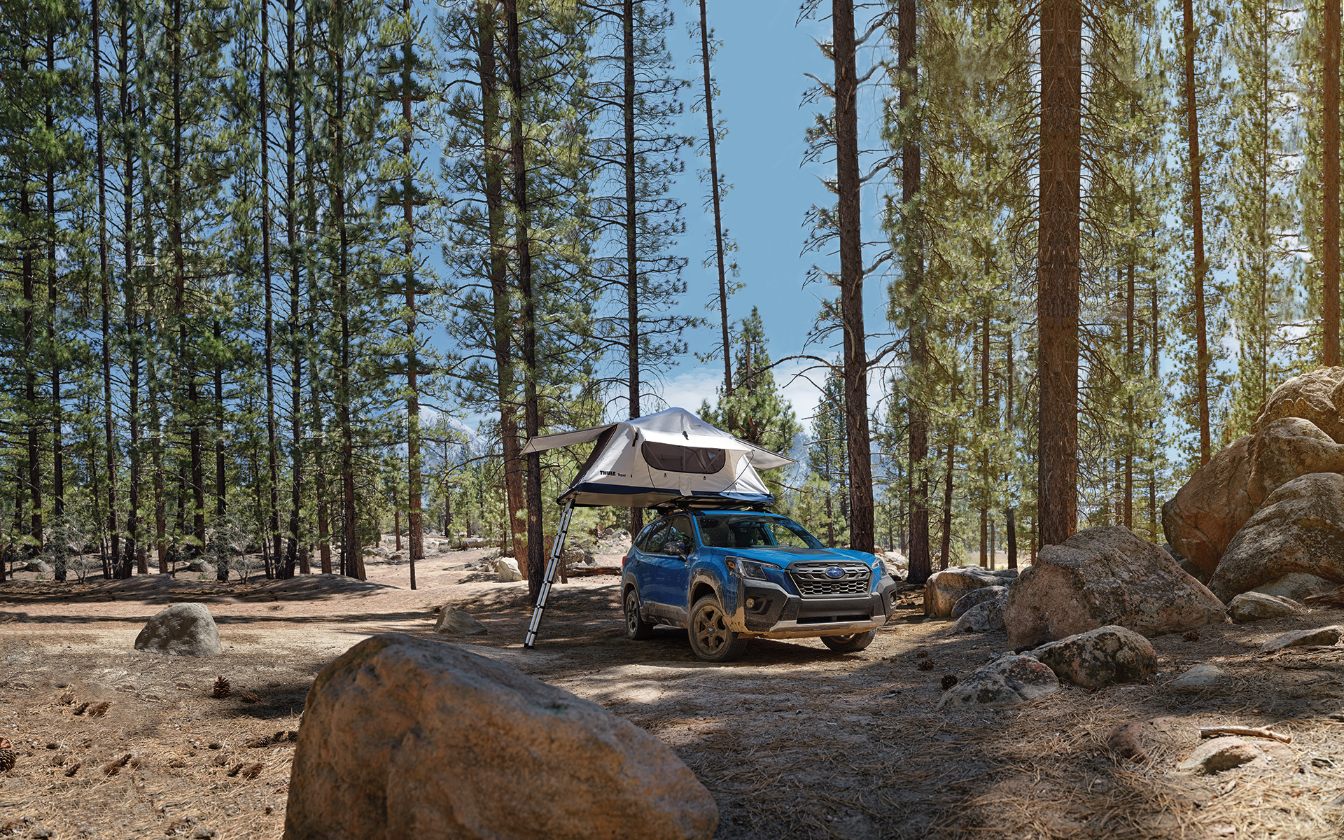 Tent on top of Forester Wilderness