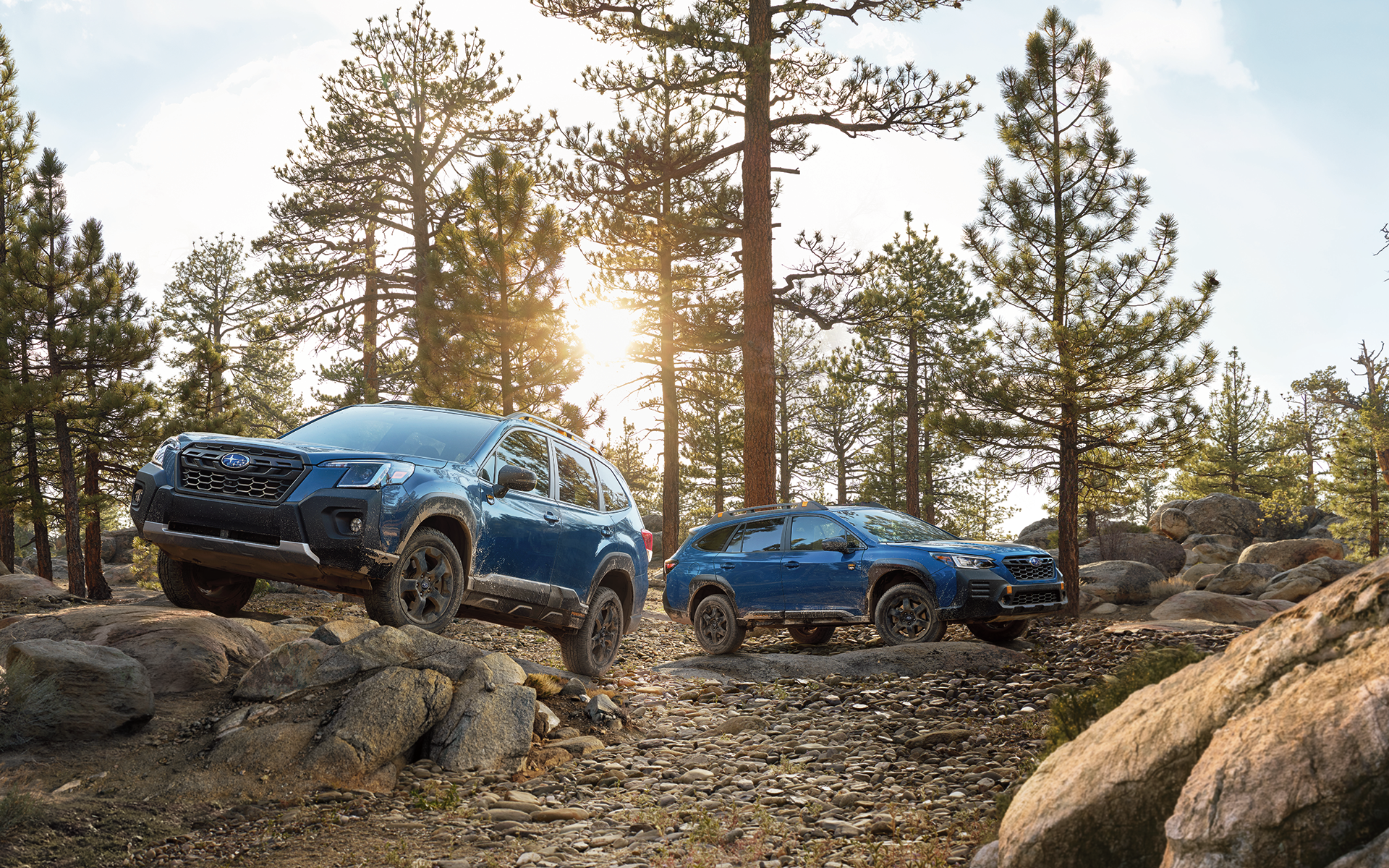 Forester and Outback Wilderness perched on rocks