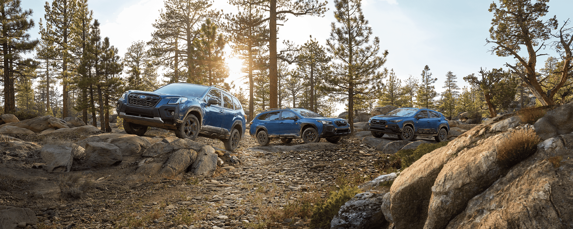 Off-road Subaru Outback Wilderness, Forester Wilderness, and Crosstrek Wilderness SUVs parked in the forest.