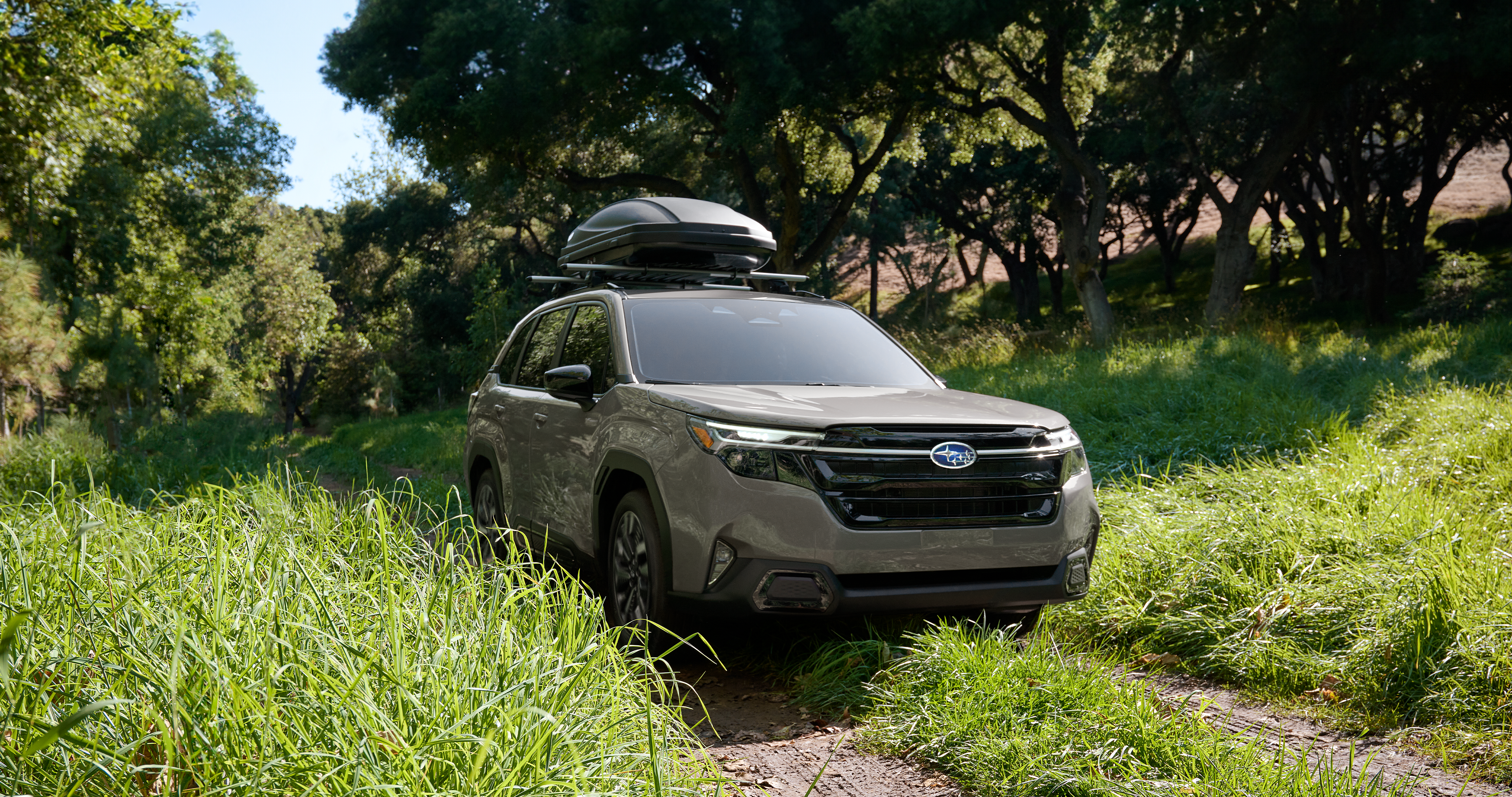  A Subaru Forester AWD SUV with a cargo carrier on its roof drives on a path through high grass.