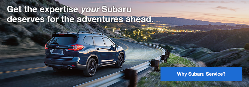 Why Subaru Service? Banner with Button