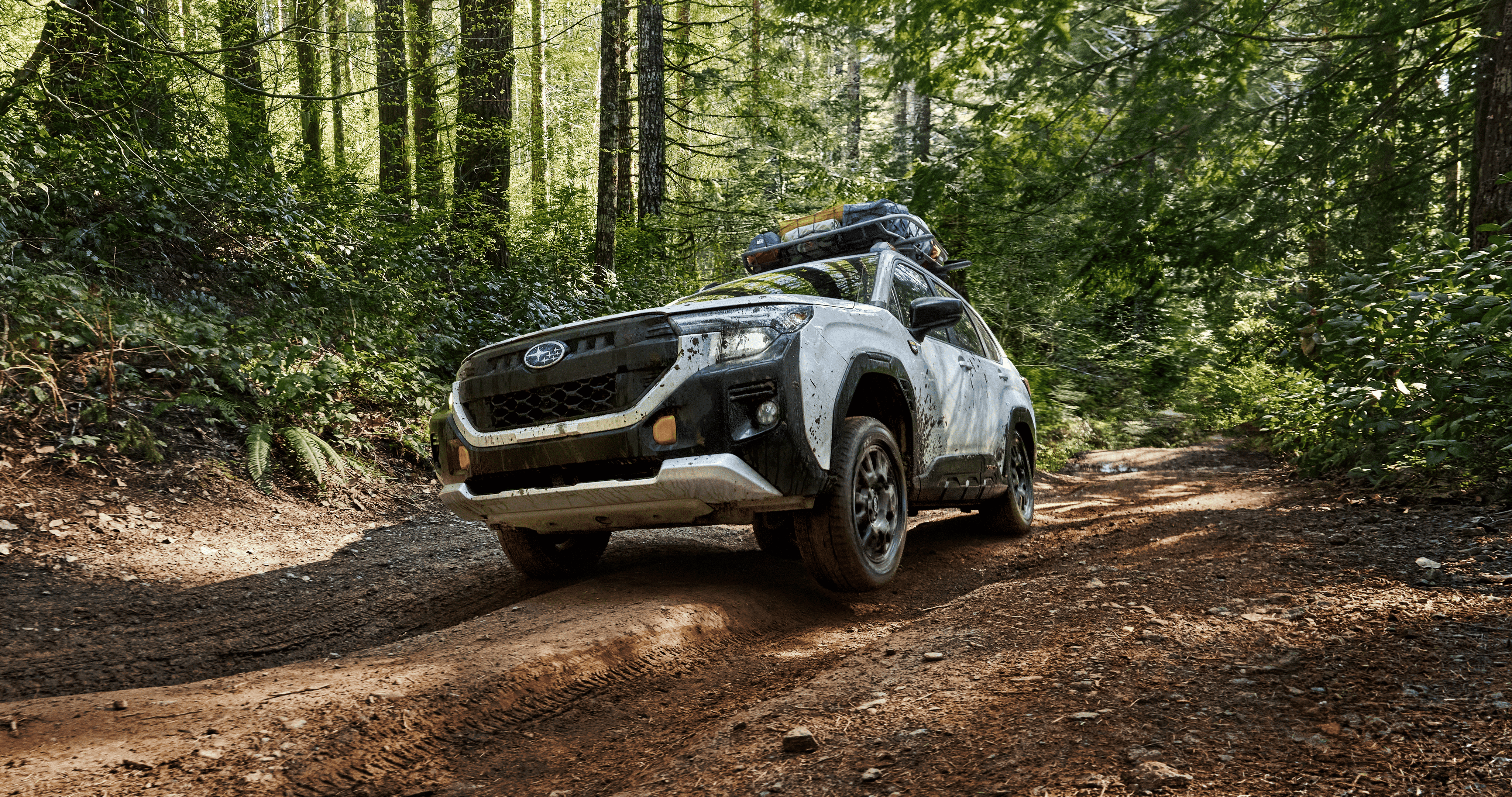 A static image of a white 2026 Subaru Forester Wilderness driving on a dirt and rock trail in a dense forest. 