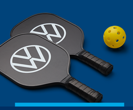 Paddles-and-ball